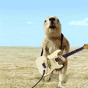 Rockin' Prairie Dog