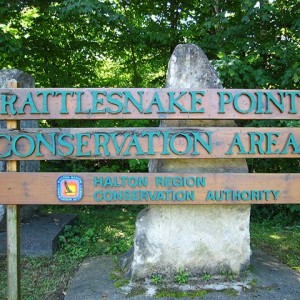 RattlesnakePoint01-1f33